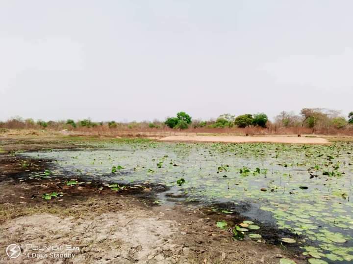 OPINION: There will be no election in Baruten until there is govt presence