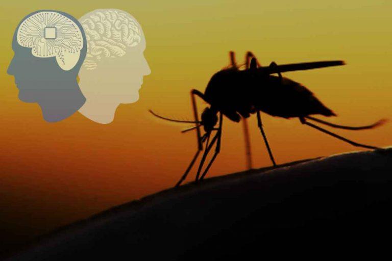 Malaria: Need for increased awareness on preventive measures in Kwara