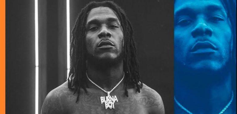 African Giant: an understatement or ovestatement…