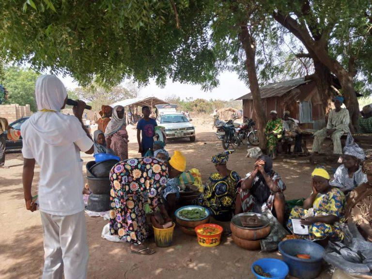 KWASU sensitises communities over Lassa Fever outbreak