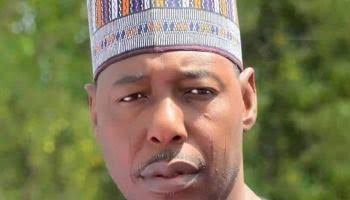 Nigerian Army needs 100,000 more troops to conquer Boko Haram – Gov. Zulum