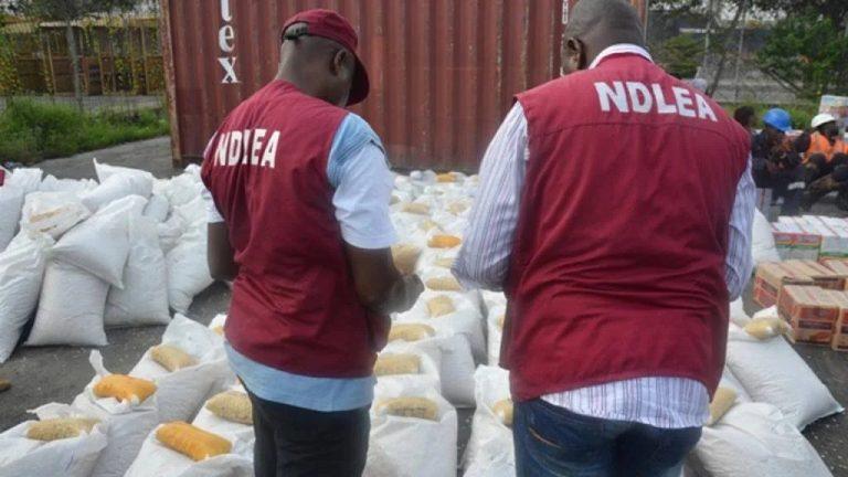 NDLEA raids Succoth Garden in Ilorin, arrests manager, staff over alleged production, sale of “skuchies”