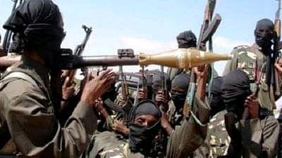 Troops kill 5 insurgents, rescue 7 victims in Borno