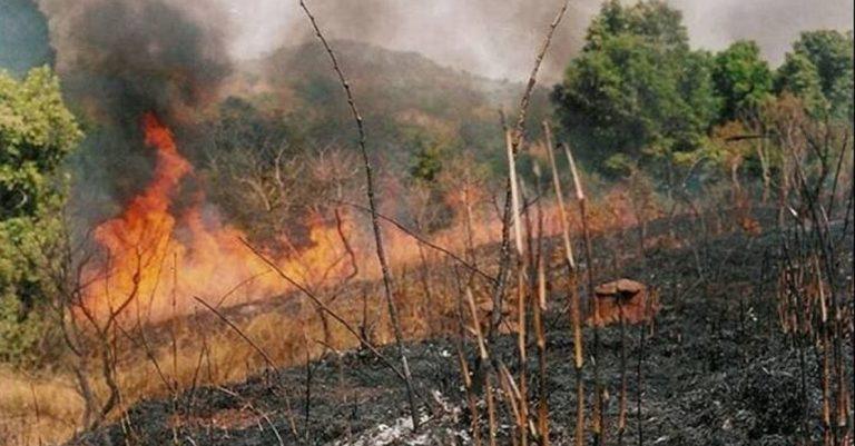 Harmattan: Kwara govt cautions against arbitrary bush burning in school areas