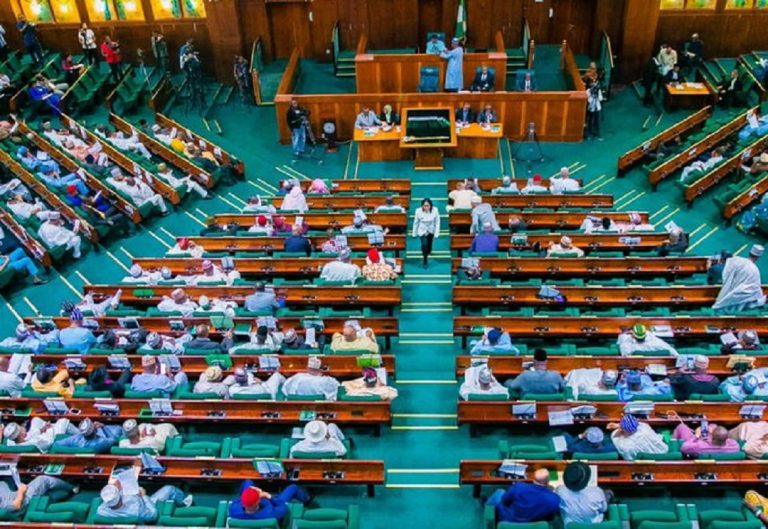 House of Reps passes 2023 budget