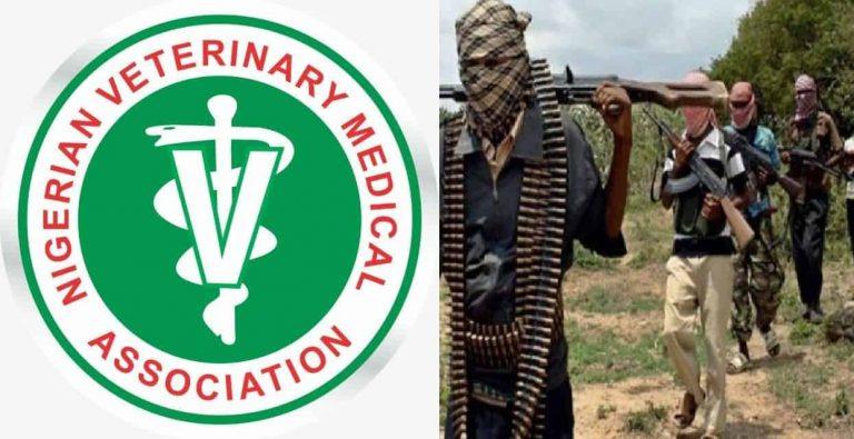 “Rude shock”: Veterinary Association begs Kwara Govt to rescue kidnapped member
