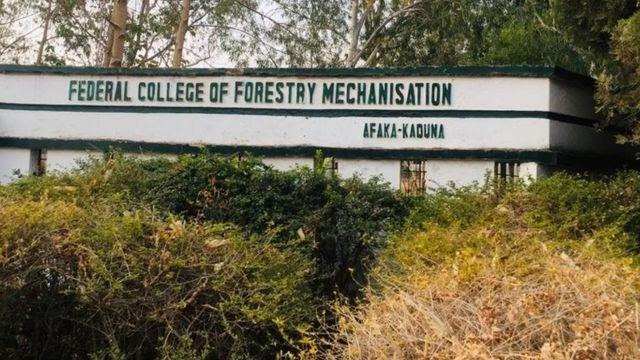 Troops rescue 5 of 39 abducted Kaduna students