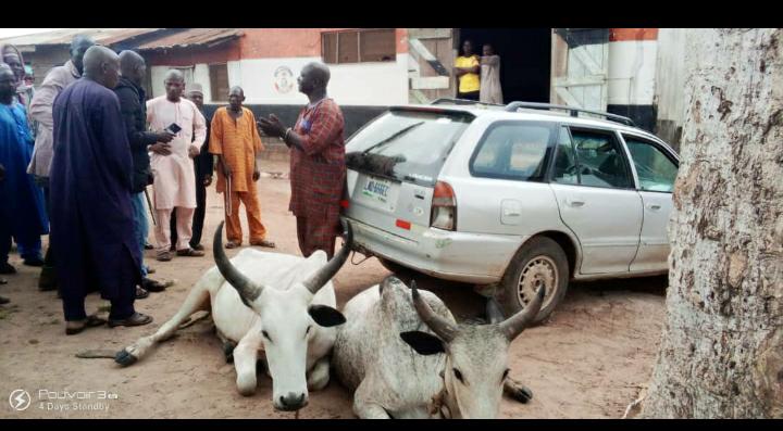 NSCDC arrests 52-year-old Igbeti man for allegedly stealing cows in Kwara