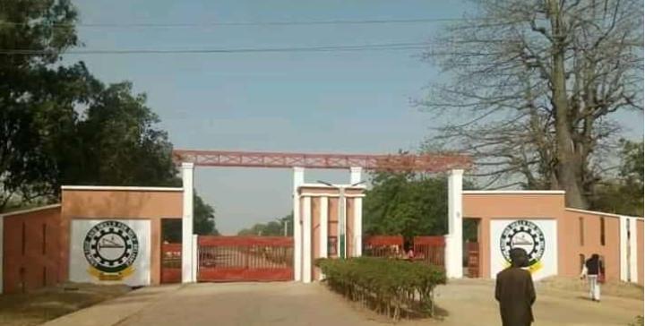 Abducted Kaduna poly lecturers, students regain freedom