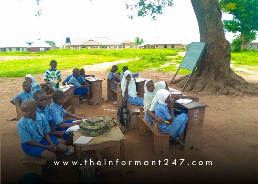 Inside Kwara primary school where classes hold under trees