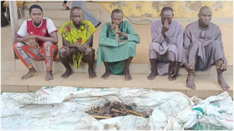 Police arrest 5 suspects who allegedly killed sex worker for ritual