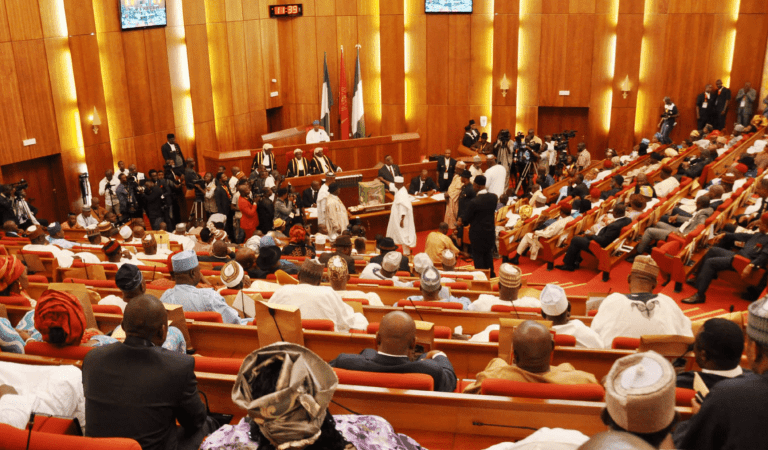 Senate appoints new Minority Leader, Whip