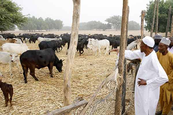 I look forward to going back to my farm in 2023: Buhari The Informant247