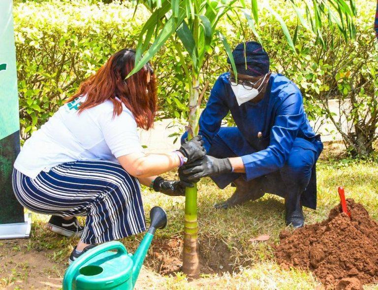 Lagos govt plants 8m trees in 13 years to preserve environment The Informant247