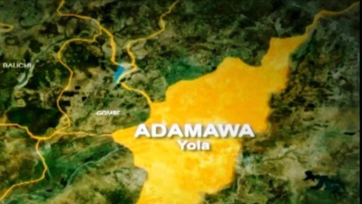 Adamawa govt trains Councils personnel on procurement process The Informant247