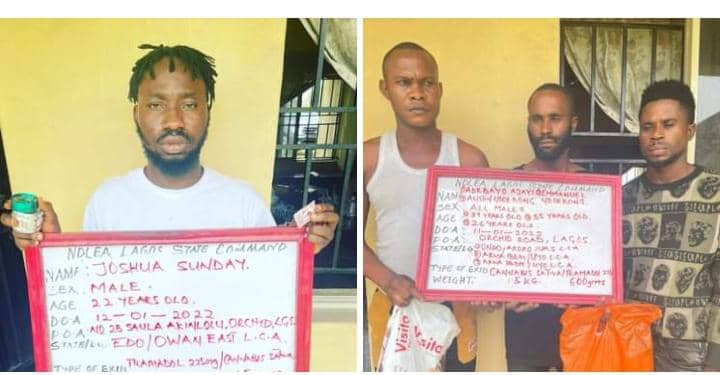 NDLEA raids notorious Lagos drug joint, arrests skit maker, D-General, 3 others    The Informant247