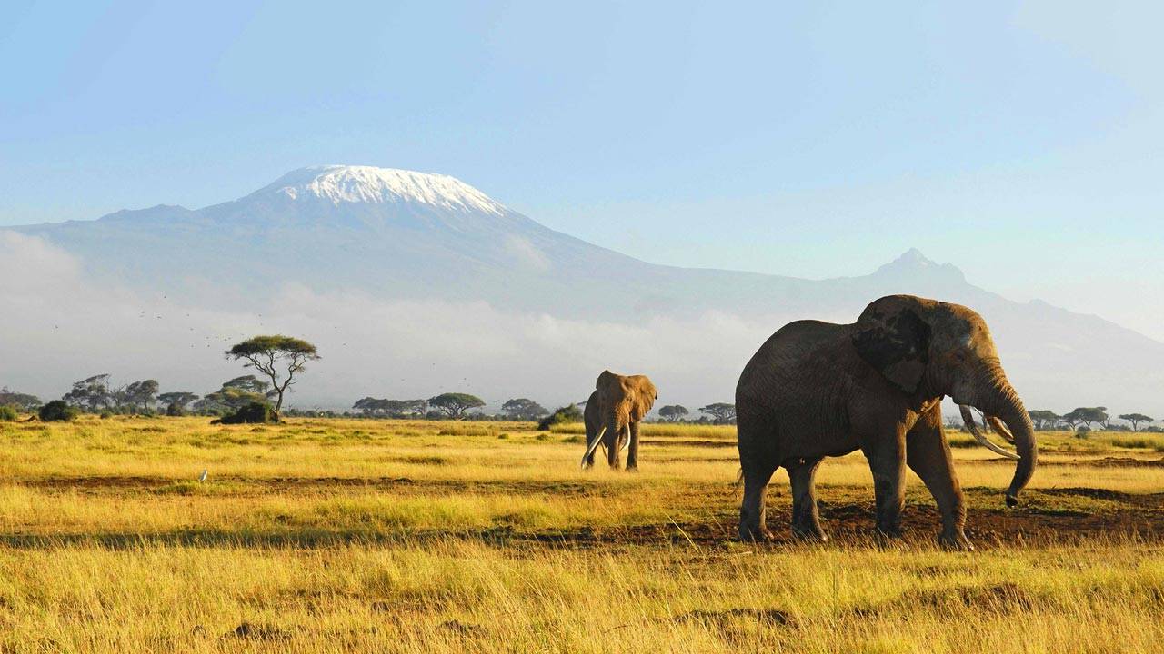 Bauchi govt to train 350 rangers on wildlife protection The Informant247