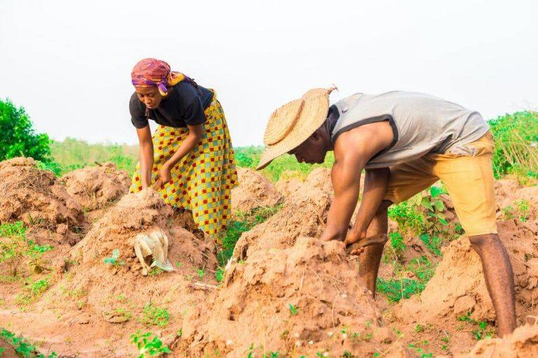 93 farmers get NDE’s N9.3m loan in Bauchi The Informant247