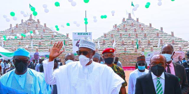 Nigeria now produces over 7.5million metric tons of rice annually: Buhari The Informant247