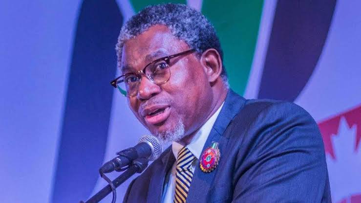 Nigeria has mineral to power electric cars, phones: Minister The Informant247