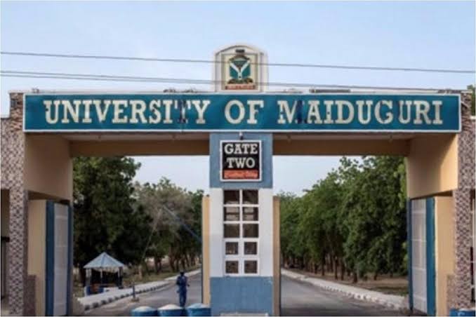 We are developing devices to tackle insecurity: UNIMAID VC The Informant247