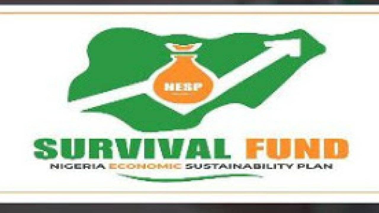 MSME Survival Fund: ‘Beware of fraudsters’ – FG cautions Nigerians The Informant247