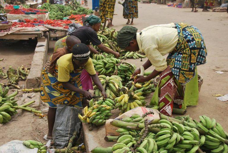 30-yr-old man dragged to court for allegedly stealing plantain The Informant247
