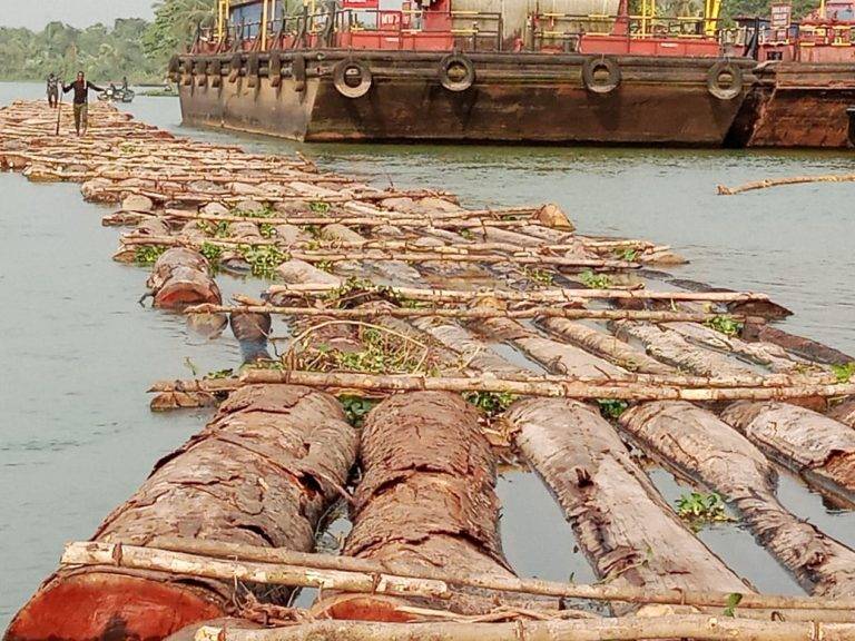 Edo govt confiscates 2,375 logs from illegal loggers The Informant247