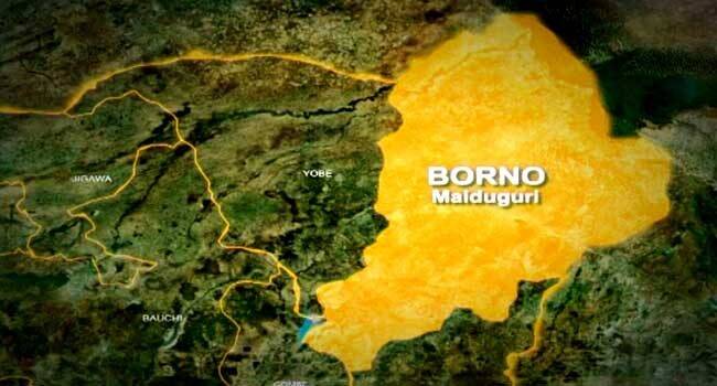 44-yr-old man arrested for allegedly raping 92-yr-old woman inside uncompleted building Borno The Informant247