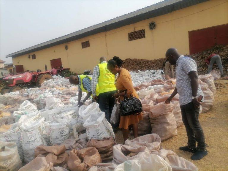 NEMA distributes yam seedlings to 1,754 farmers in Lagos The Informant247