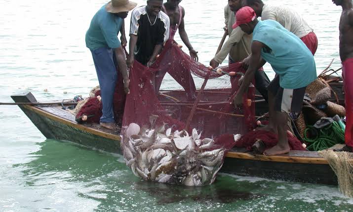 Kwara govt gives fish farmers 7 conditions to operate at Asa Dam The Informant247