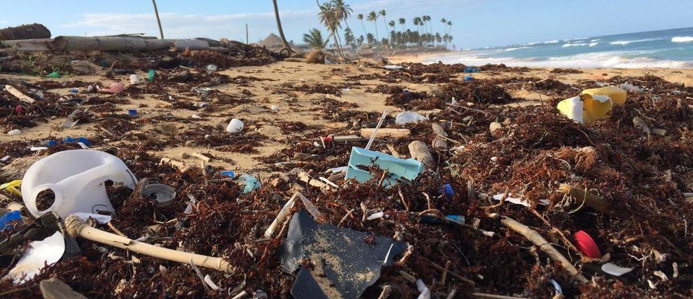 Nigerian govt reiterates commitment to addressing environmental challenges The Informant247