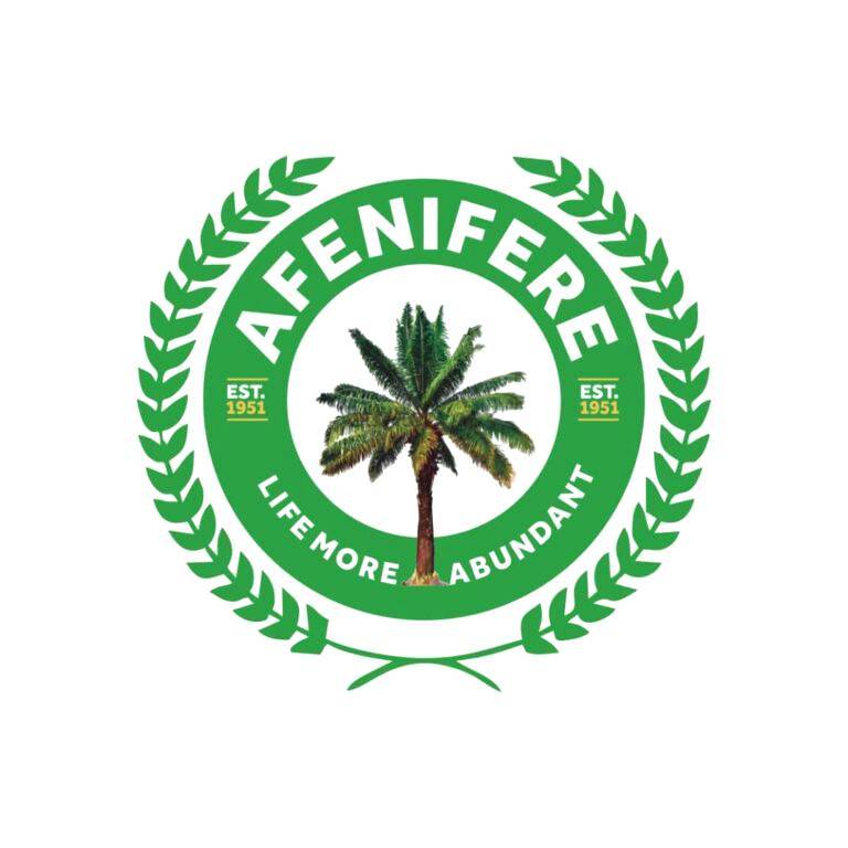 Cost of parties nomination forms: Height of political insensitivity, open invitation to thievery — Afenifere The Informant247