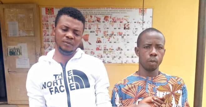 Auto Draft The Informant247