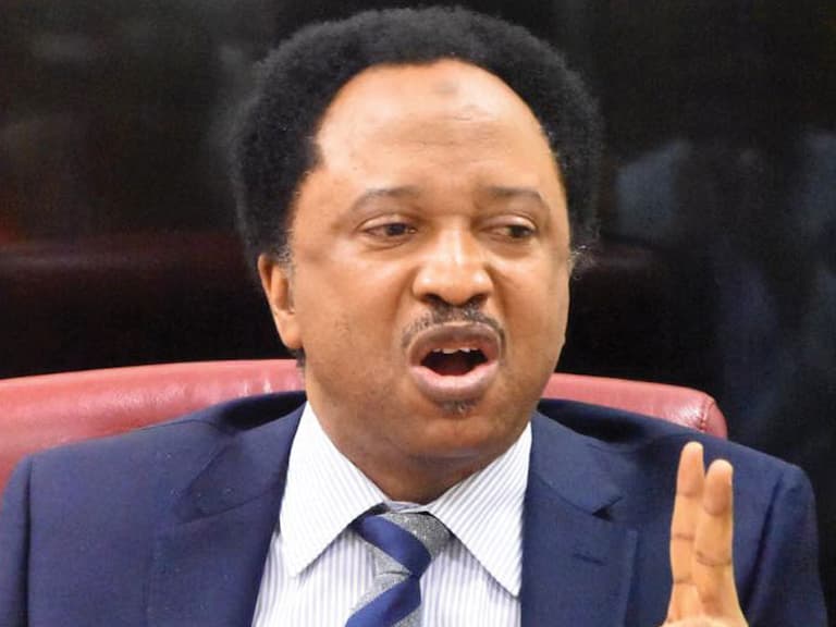 There’s insecurity in Nigeria because Buhari is weak – Shehu Sani The Informant247