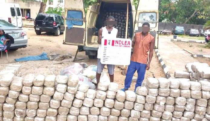NDLEA busts cocaine cartels, arrests seven traffickers The Informant247