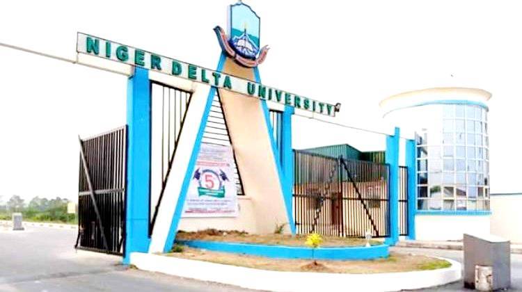 Niger Delta University