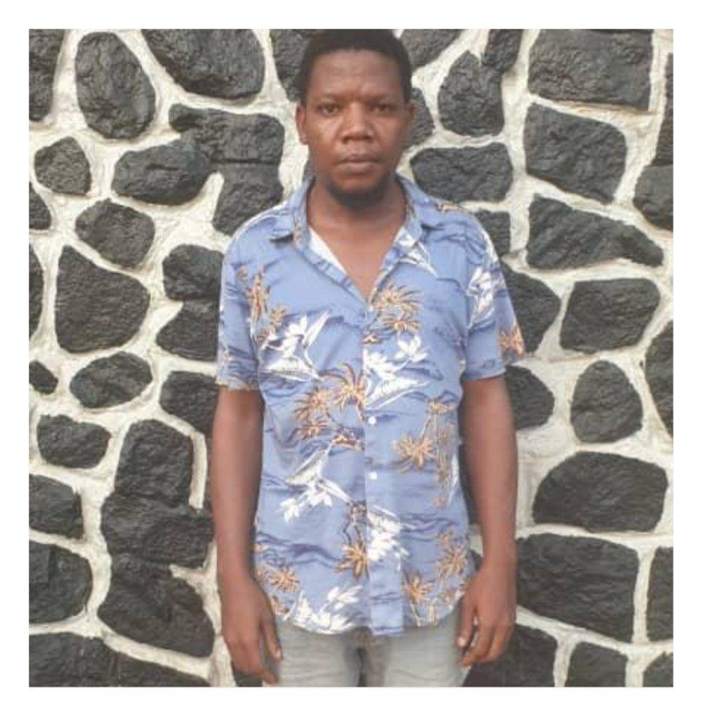 Collage Maker 26 Jun 2022 12.45 PM 1024x1024 1