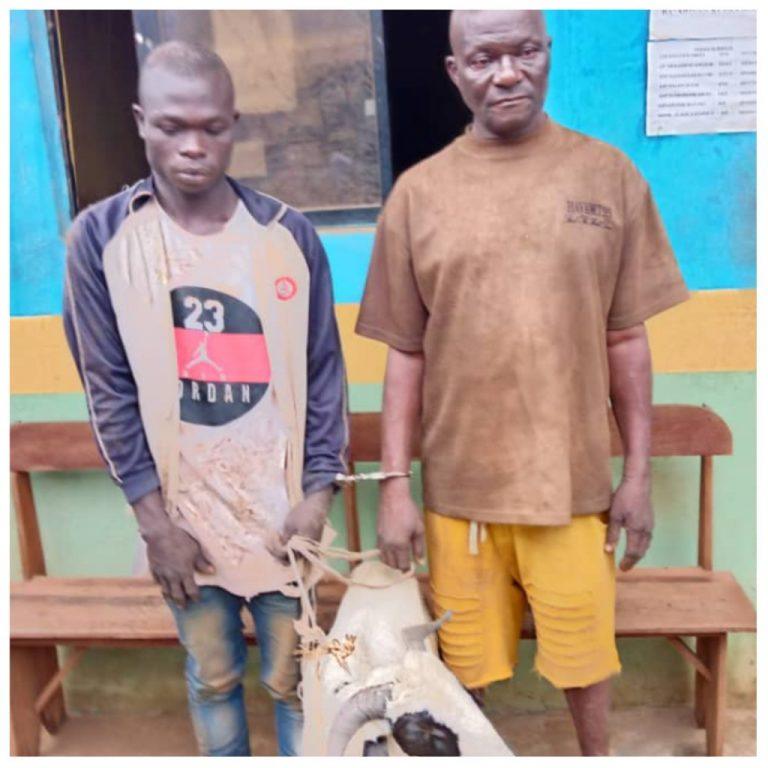 Collage Maker 06 Jul 2022 06.08 PM 1024x1024 1