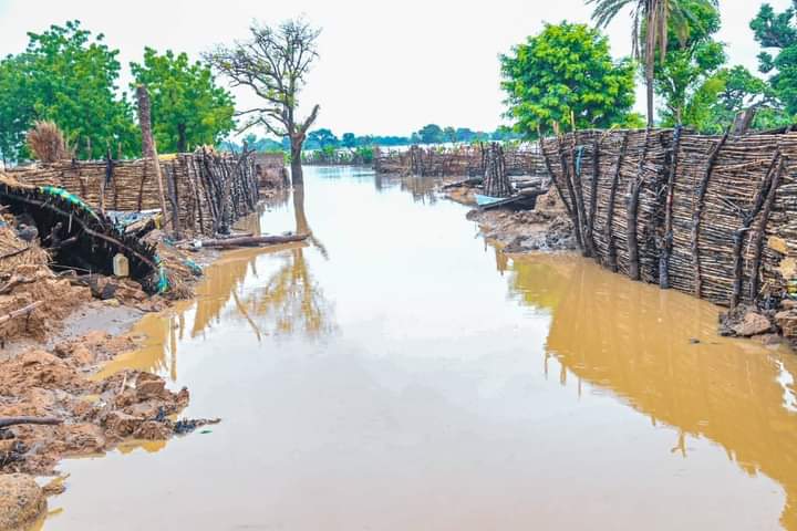 FB IMG 1658095097455