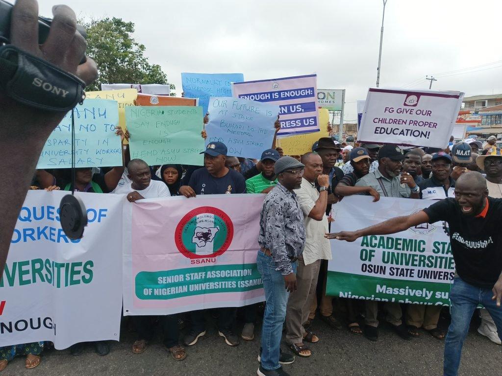 IMG 20220726 105859 082 1024x768 1