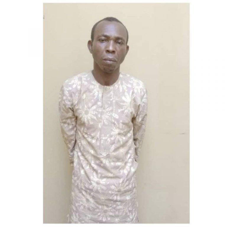 Collage Maker 21 Aug 2022 06.13 PM 1024x1024 1