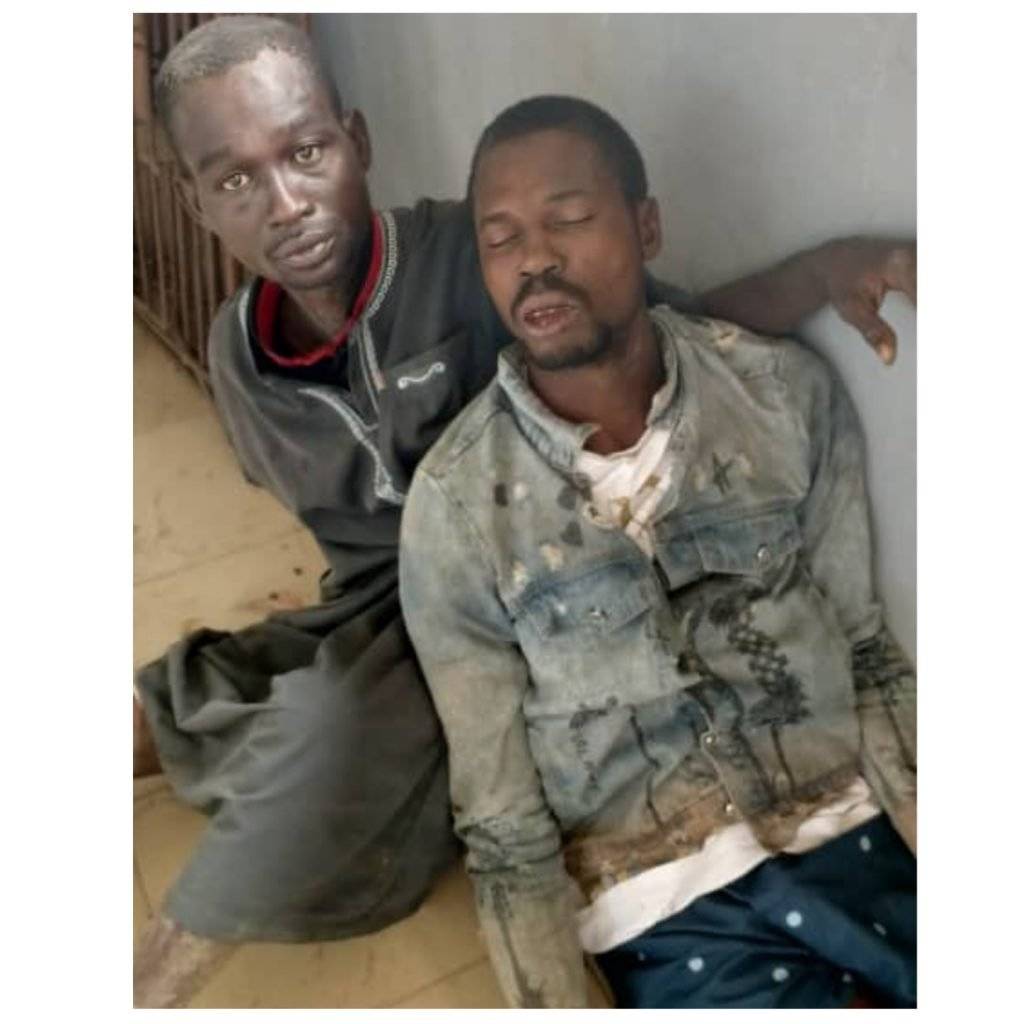 Collage Maker 21 Aug 2022 12.50 PM 1024x1024 1