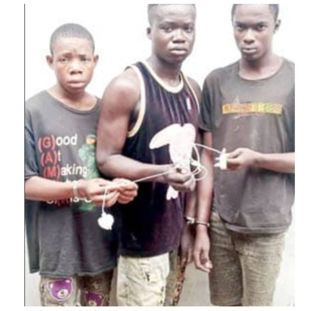 Collage Maker 24 Aug 2022 06.17 PM 1024x1024 1