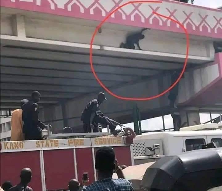 FB IMG 16600307810692