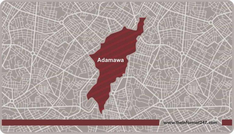Adamawa State Map