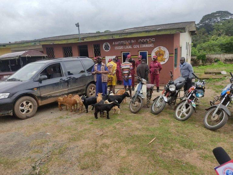 IMG 20220906 104039 1024x768 1