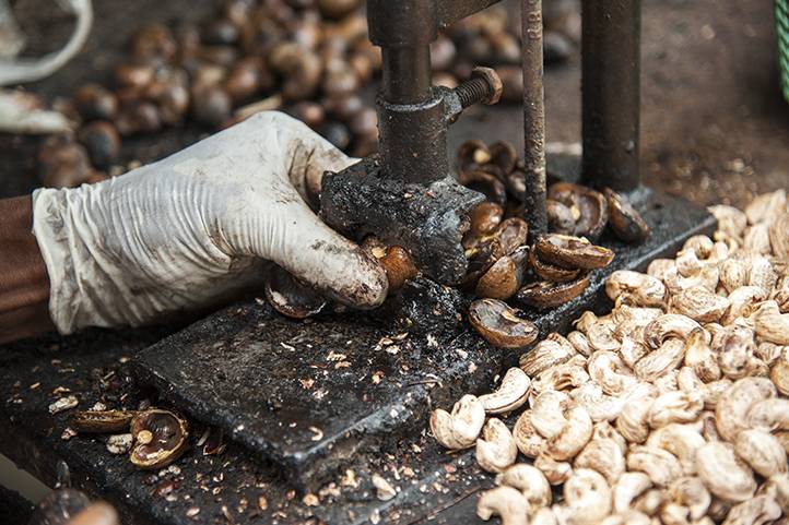 in article cashew machine forward