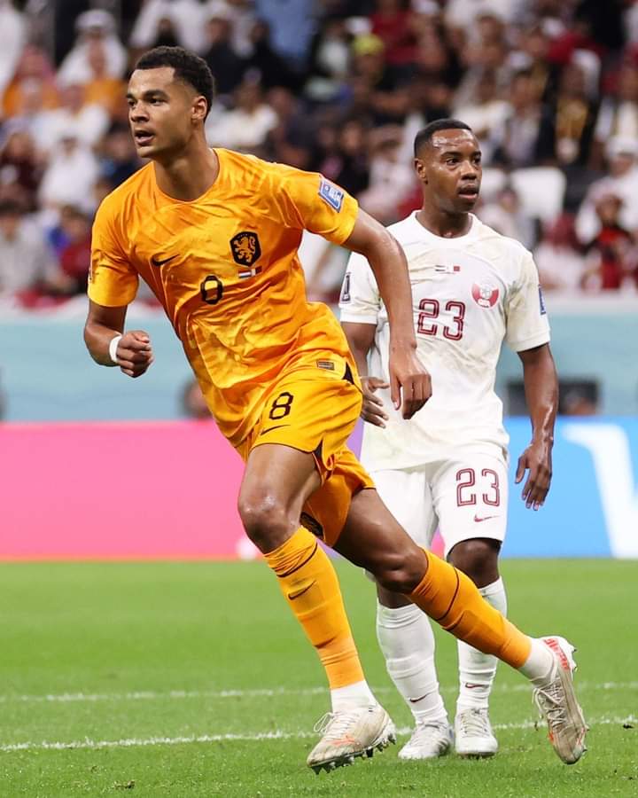 FB IMG 1669761791833