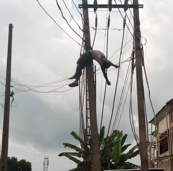 images 2022 12 05T092145.772